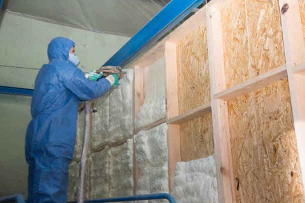Best Spray Foam Insulation  in Everett, MA